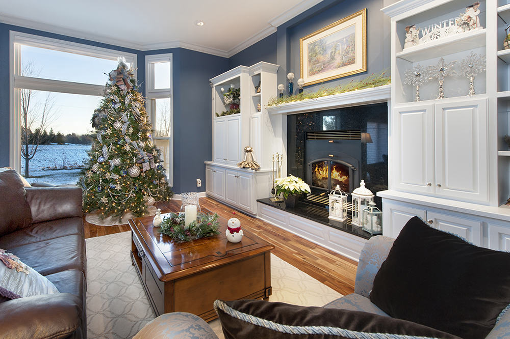 Traditional living room with white cabinetry and dark accented fireplace